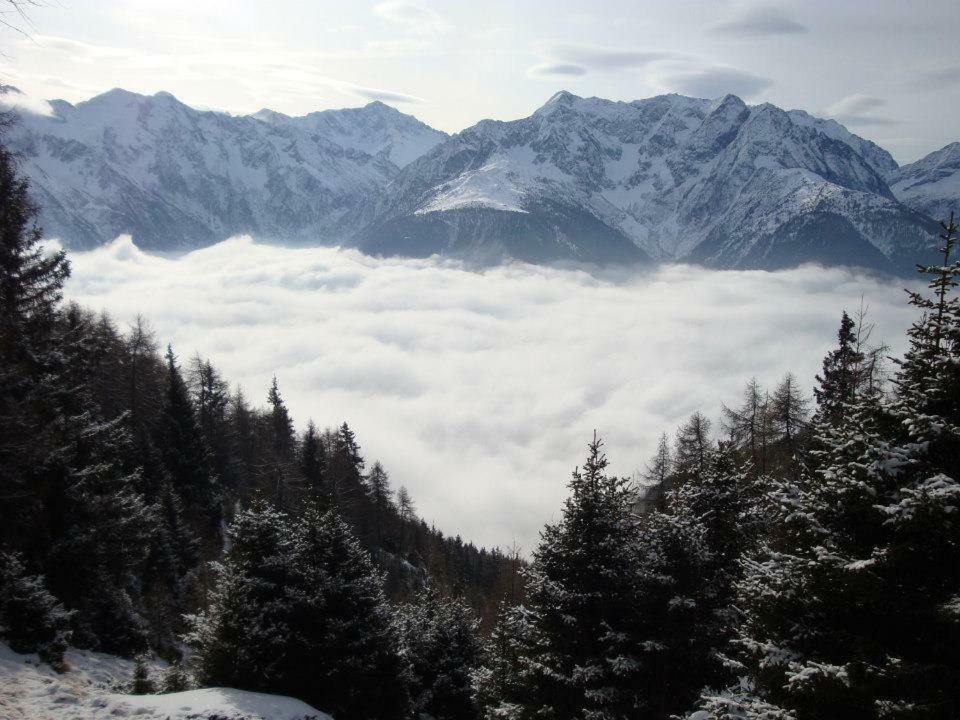 Cavallino Ponte Di Legno